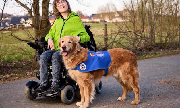 Assistenzhunde retten Leben und schenken neue Lebensfreude