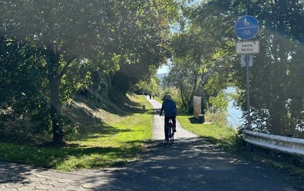 Baubeginn zur Neugestaltung des Rheinufers