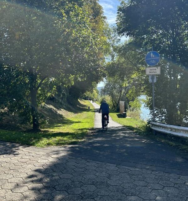 Baubeginn zur Neugestaltung des Rheinufers