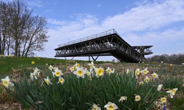 Aussichtsplattform Ehrenbreitstein bleibt geschlossen