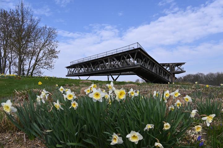 Aussichtsplattform Ehrenbreitstein bleibt geschlossen