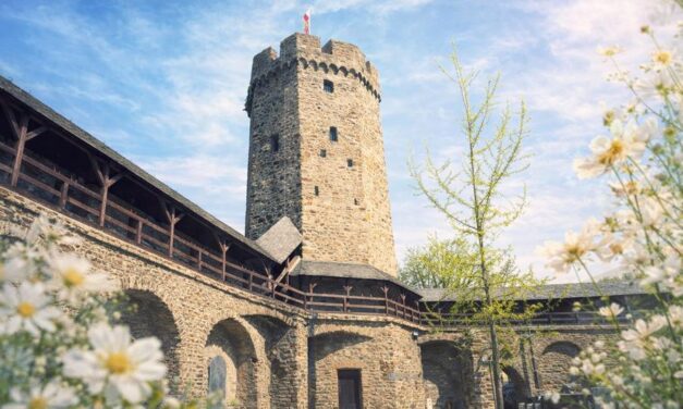 Grüner Balkon: Aktionstag für Nachhaltigkeit, Pflanzen und Gemeinschaft