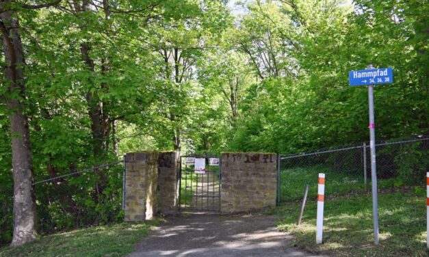 Wildschweine auf dem Hauptfriedhof: Stadt bittet um Mithilfe