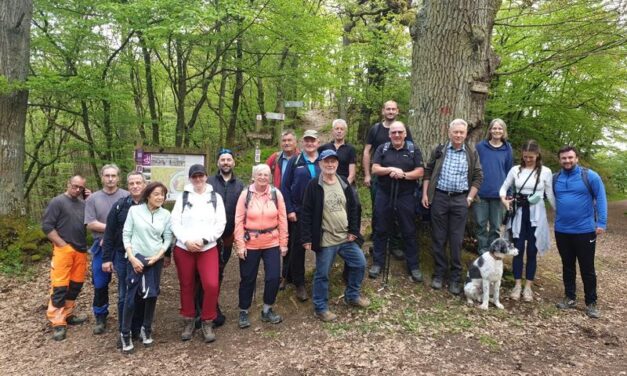 Schulung: Wegepaten der Stadt Boppard auf Traumschleife unterwegs