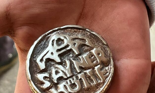 Familientag in der Sayner Hütte – das Mückenfest!