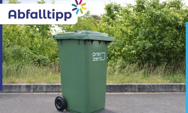 Das 1×1 der grünen Tonne