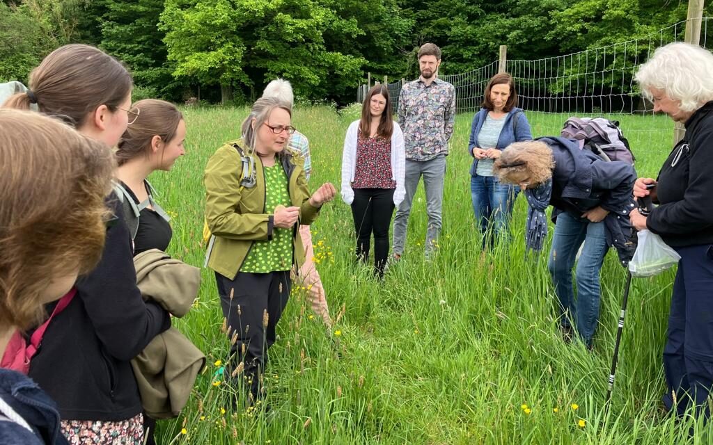 Wildkräuterexkursion begeistert Naturinteressierte