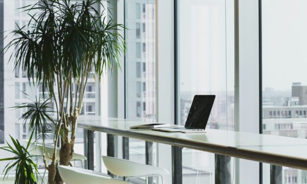 Equal Pay in Rheinland Pfalz: Wo stehen Unternehmen aus der Region?