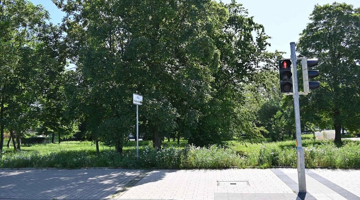 Pläne für neuen Grünzug zum Rhein werden vorgestellt