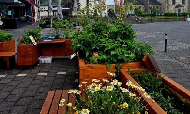 Eröffnung eines interaktiven Stadtprojektes am 3. Juli 2026 in der Entdeckerlounge