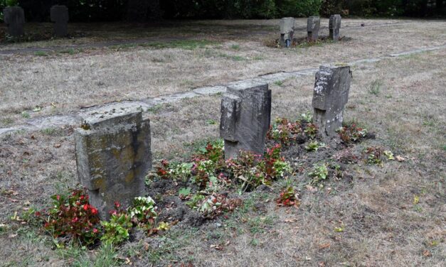 Stadt arbeitet an Lösung gegen Wildschweine auf dem Hauptfriedhof