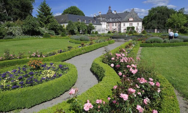 Neuwied im Spätsommer entdecken