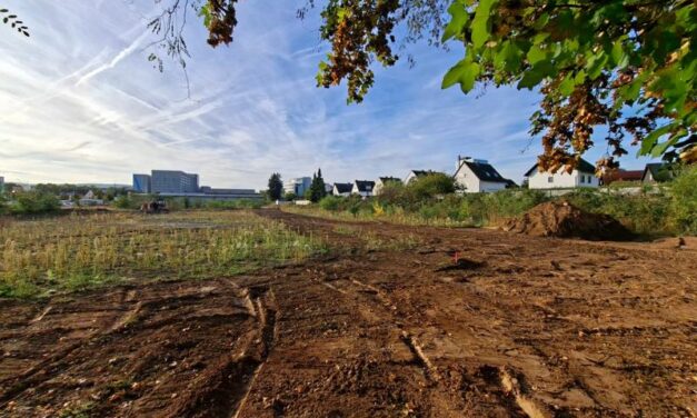 Erschließung des Quartiers am Rauentaler Moselbogen beginnt