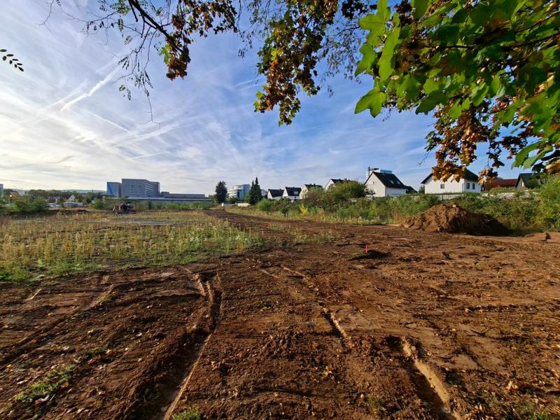 Erschließung des Quartiers am Rauentaler Moselbogen beginnt