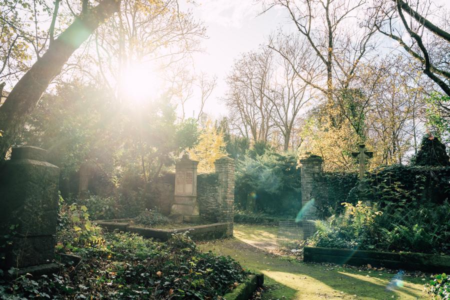 Neuwied im November entdecken