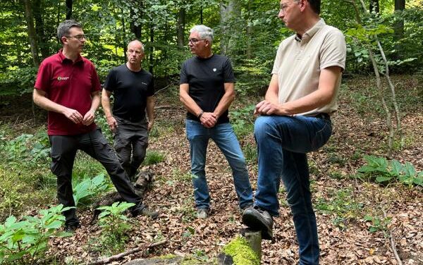 Von Tornados, Drohnen und dem langen Atem der Forstwirtschaft